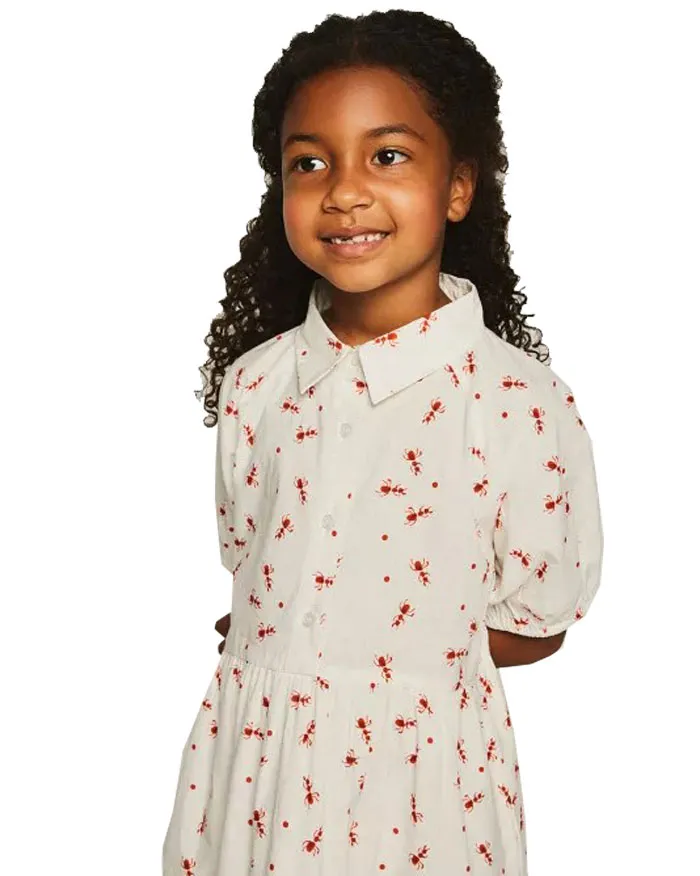 COMPANIA FANTASTICA - Girl's shirt dress 41002 White